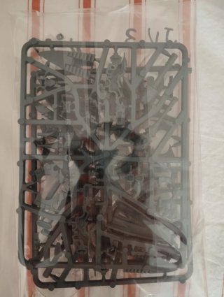 Warhammer 40k Jinetes del Viento Aeldari