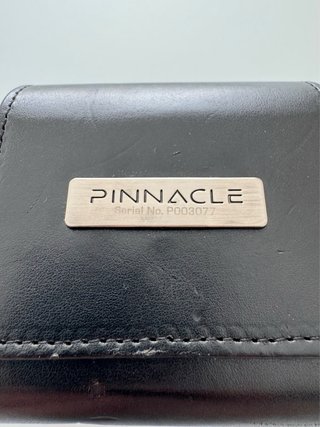 MEE Audio Pinnacle P1 Auricolari Hi-Fi