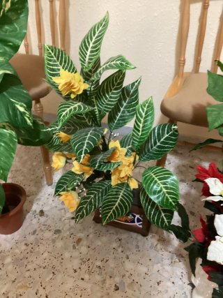 Plantas y Flores de Plástico