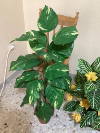 Plantas y Flores de Plástico