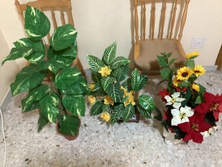 Plantas y Flores de Plástico