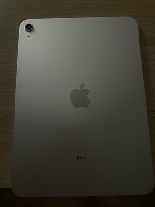 Apple iPad