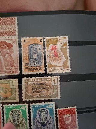Lote Sellos Antiguos Colonias Francesas