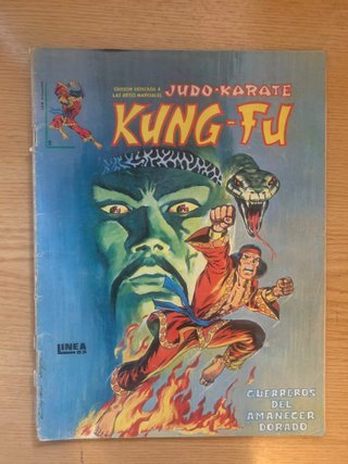 Comics vértice Micronautas Kung Fu