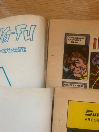 Comics vértice Micronautas Kung Fu