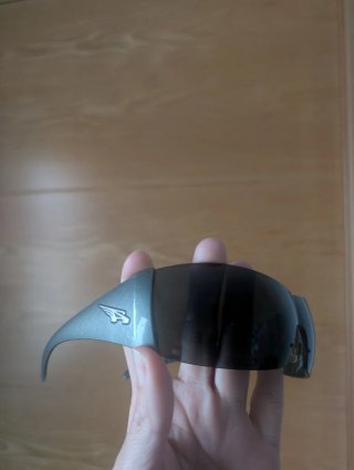 Gafas de sol Arnette negras y grises