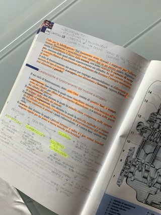 La patente di guida. Manuale teorico e quiz per...