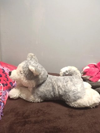 Peluche perro husky suave