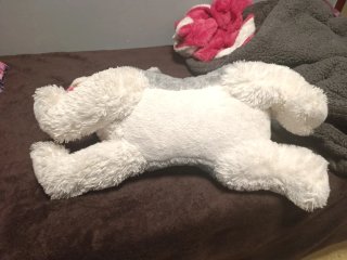 Peluche perro husky suave