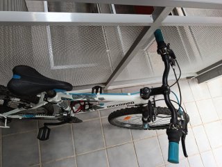 Bici 24"