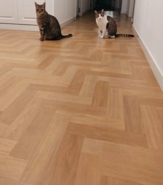 Suelo laminado Faus Parquet Natural