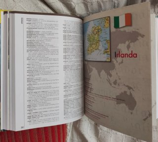 Diccionario ingles New Times cultural