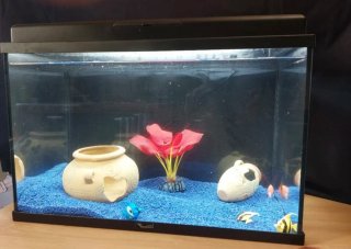 Acuario 40 litros con luz led