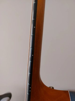 Taylor 214ce Deluxe Sunburst zurda