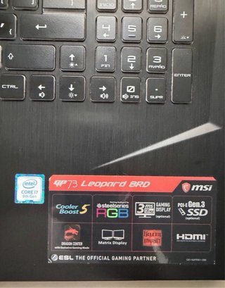 MSI GP73 Leopard 8RD Portátil