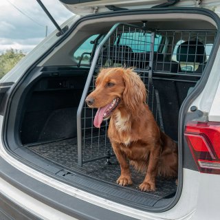 Reja Perros Toyota Rav4 sin estrenar