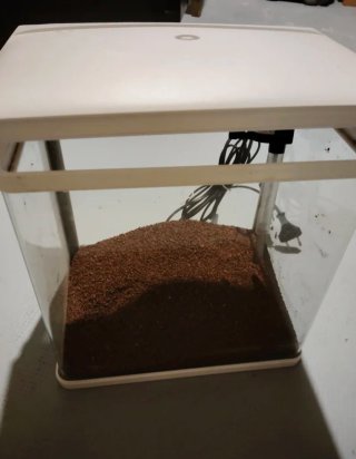 Acuario 14L con luz LED y filtro