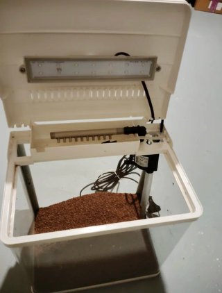 Acuario 14L con luz LED y filtro