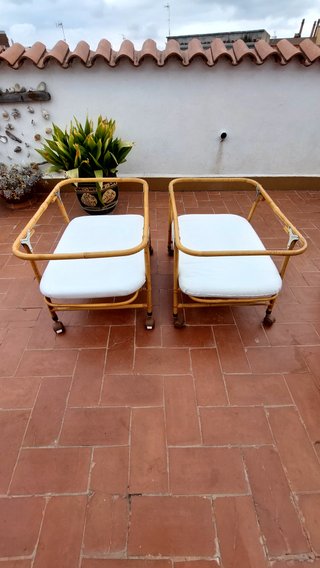2 Moisés/Cuna para Mellizos
