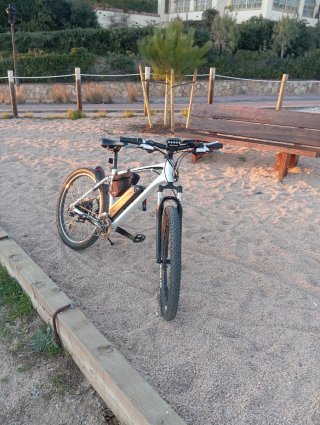 Bicicleta Eléctrica Montaña