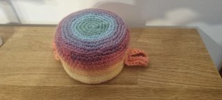 Cesta tejida a crochet multiusos