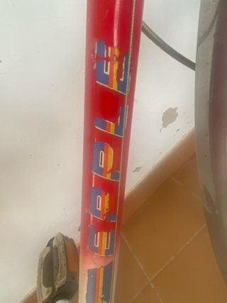Bicicleta Epple Clásica 6 Velocidades