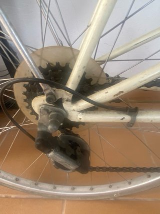 Bicicleta Epple Clásica 6 Velocidades