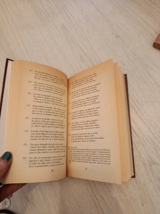Libro del buen amor