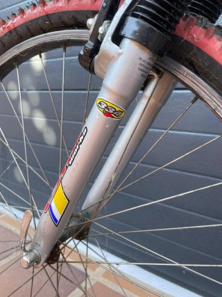 Bicicleta de montaña Silver Star