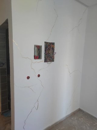 Pintor profesional de casas