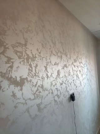 Pintor profesional de casas