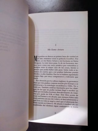 Donde aprenden a volar las gaviotas. Ana Alcolea