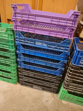 Lote Cajas Plástico Almacenaje Vendimia