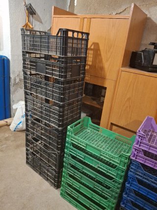 Lote Cajas Plástico Almacenaje Vendimia