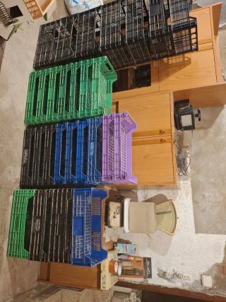 Lote Cajas Plástico Almacenaje Vendimia
