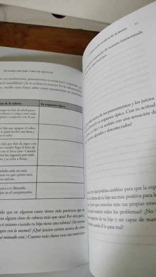 El cerebro del niño : libro de ejercicios : eje...