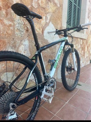 Bicicleta mountain bike en  Carbono