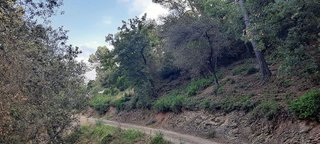 Terreno en venta en La Floresta - Les Planes en Sant Cugat del Vallès