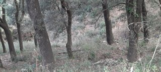 Terreno en venta en La Floresta - Les Planes en Sant Cugat del Vallès