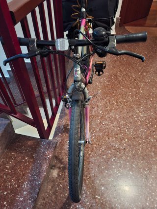 Bicicleta Orbea con alforjas
