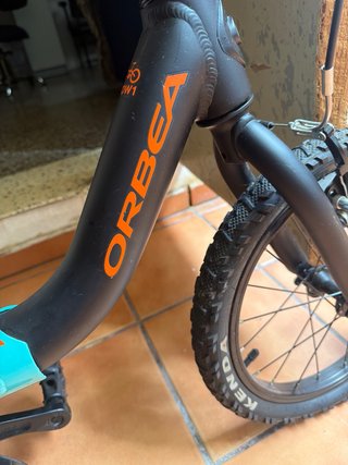 Bicicleta infantil ajustable