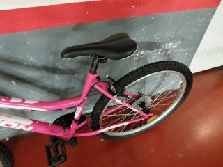 Bicicleta Neón X-Team pro