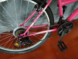 Bicicleta Neón X-Team pro