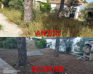 JARDINERO