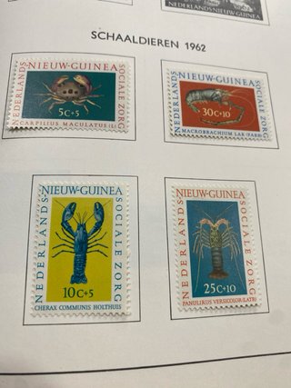 7 hojas sellos Nueva Guinea Holandesa 1949-1962