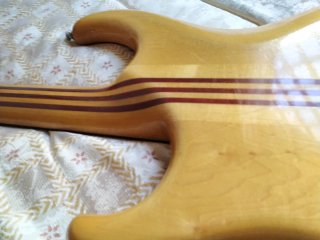Alembic Elan/Europe 5