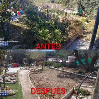 ⭐⭐⭐⭐⭐JARDINERO TRABAJO HECHO EN RIUDOMS