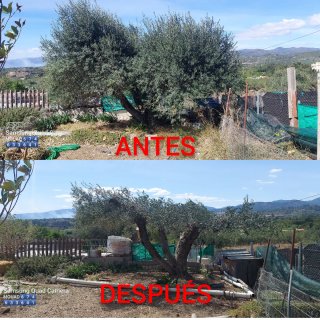 ⭐⭐⭐⭐⭐JARDINERO TRABAJO HECHO EN RIUDOMS