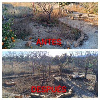 ⭐⭐⭐⭐⭐JARDINERO TRABAJO HECHO EN RIUDOMS