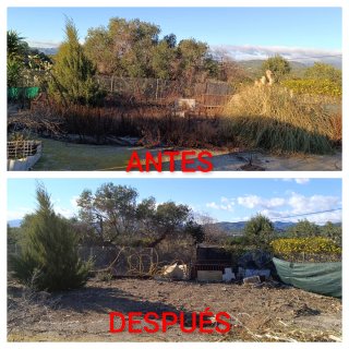 ⭐⭐⭐⭐⭐JARDINERO TRABAJO HECHO EN RIUDOMS